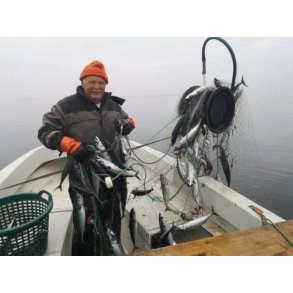 Profisher EN og EL, 12V-24V omformer, eller 24V Litium batteri medfølger.  Omformer fra 220V kan også leveres. Nyhet: Nå leveres også Profisher EN og EL med vendebryter, og kan dermed kjøres begge veier, på samme måte som OlsenBlokk..