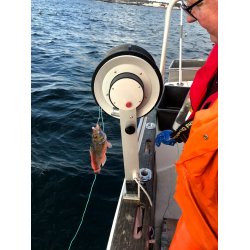 NYHET, n med batteripakke: PROFISHER EN m/garntrommel som har lineskive p indre ende og garngaffel