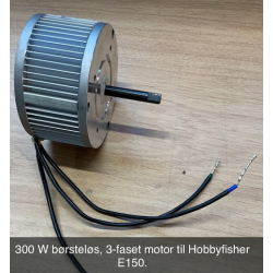 300 W brstels motor til E150