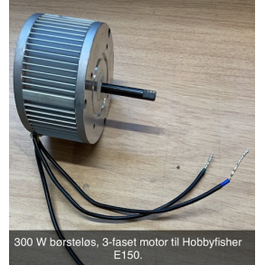 300 W brstels motor til E150