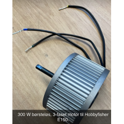 300 W brstels motor til E150