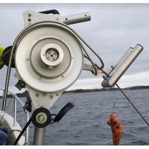 Avangler/taustyrer med krokfring til OlsenBlokk