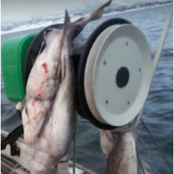 Garntrommel m/lineskive p ytre ende til Hobbyfisker P220/E150