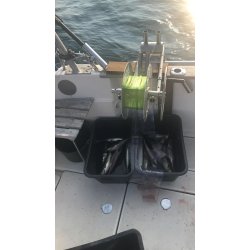 Smarthaler-mini (Norice), uten feste. N er det 2 festevarianter  velge mellom.