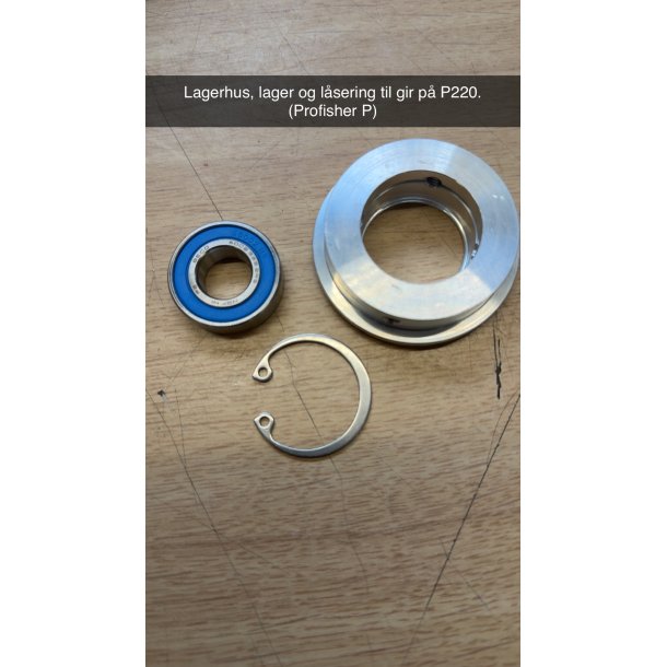 Lagerhus, komplett med lager og l�sering for gir P220
