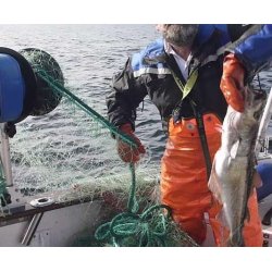 Profisher E (Hobbyfisher E150, 12V) utgtt, men vi har deler og tilbehr.