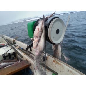 Profisher E (Hobbyfisher E150, 12V) utgtt, men vi har deler og tilbehr.